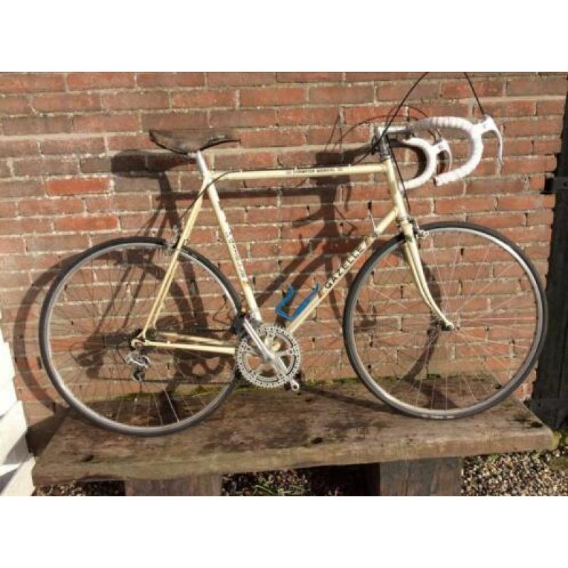 Gazelle champion mondial