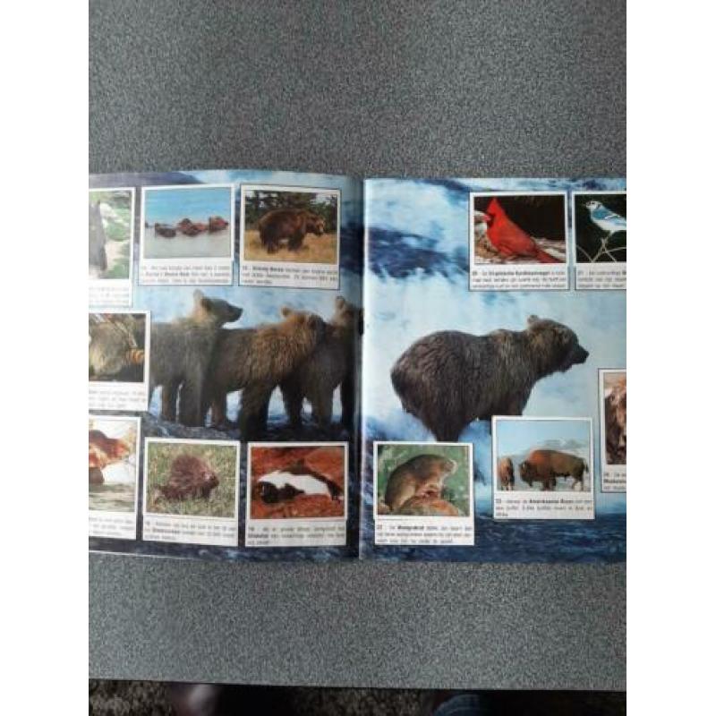 plaatjesboek Panini : animals of the world ( superstaat)