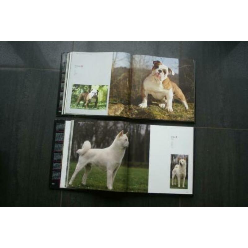 DOGS... A - G.. / DOGS... H - Z.. (Hardcovers)