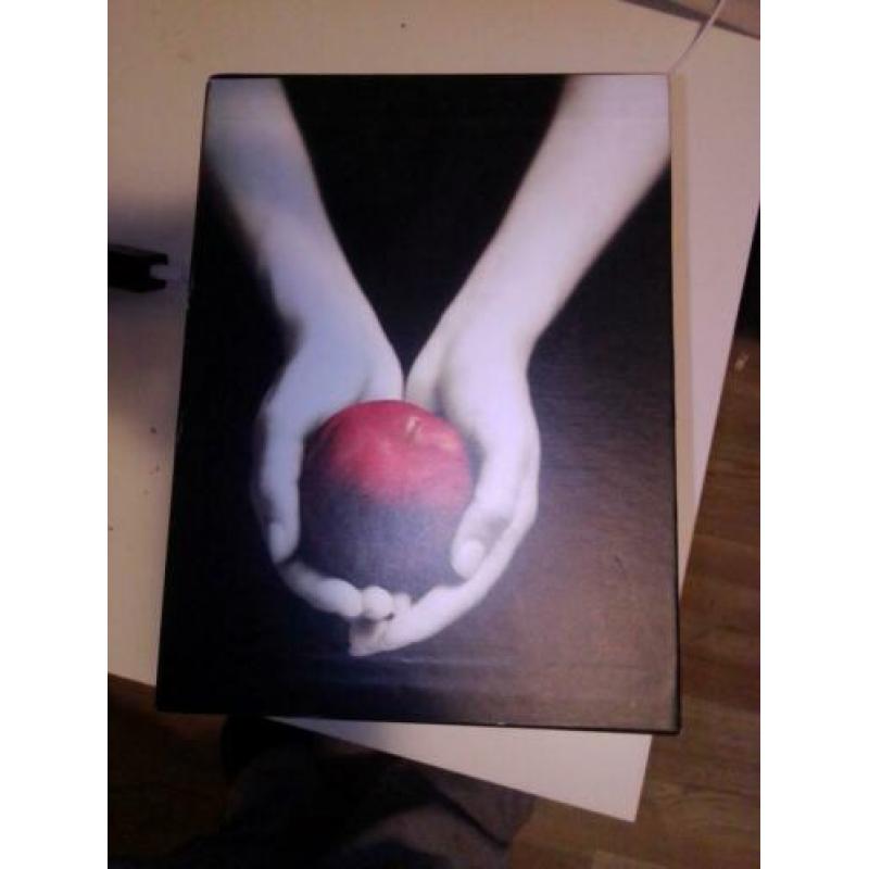 Twilight saga hard cover !!! Nieuw nooit gelezen