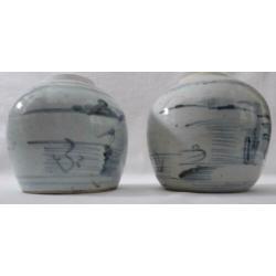 twee antieke chinese gemberpotten (19 eeuws) Landschapsdecor