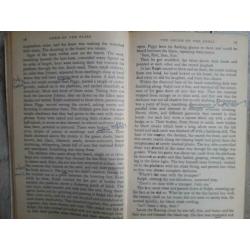 Lord of the Flies, William Golding. psychologie