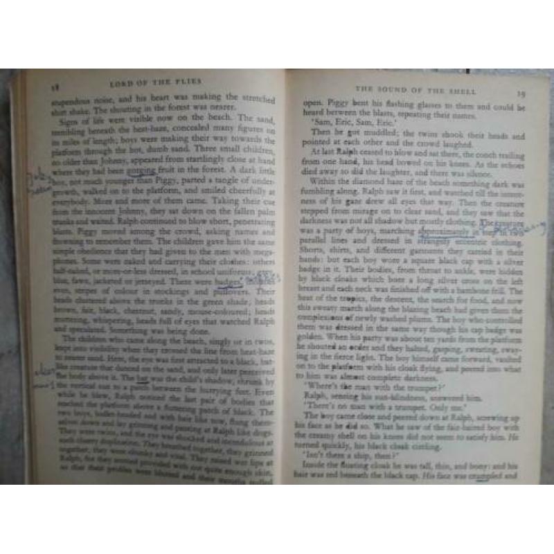 Lord of the Flies, William Golding. psychologie