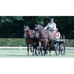Mooi span D pony ruinen!
