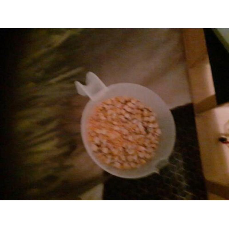stal met maïs en een silo