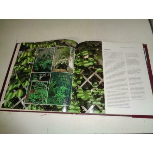 PRAKTISCHE TUINPROJECTEN - Auteur David Stevens