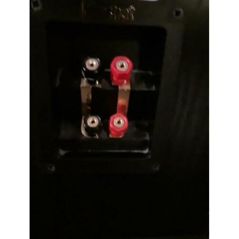 Magnat Vector 77