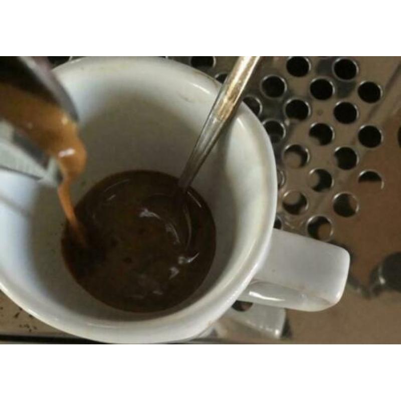 Italiaanse Quick mill Rvs espresso machine