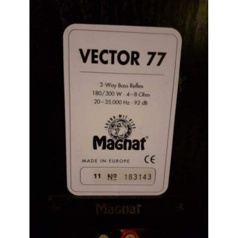 Magnat Vector 77