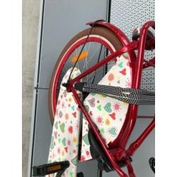 kijk eens hier Popal Omafiets 22 inch