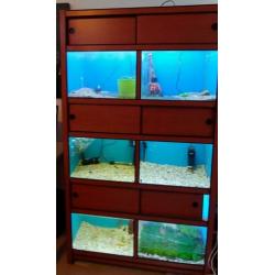 Aquarium stelling