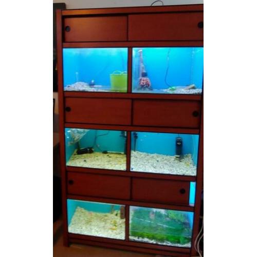 Aquarium stelling