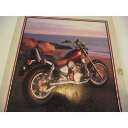 kawasaki VN 700-750cc 1985-1995 service-reparatie boek