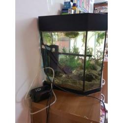 Aquarium met guppies helemaal compleet