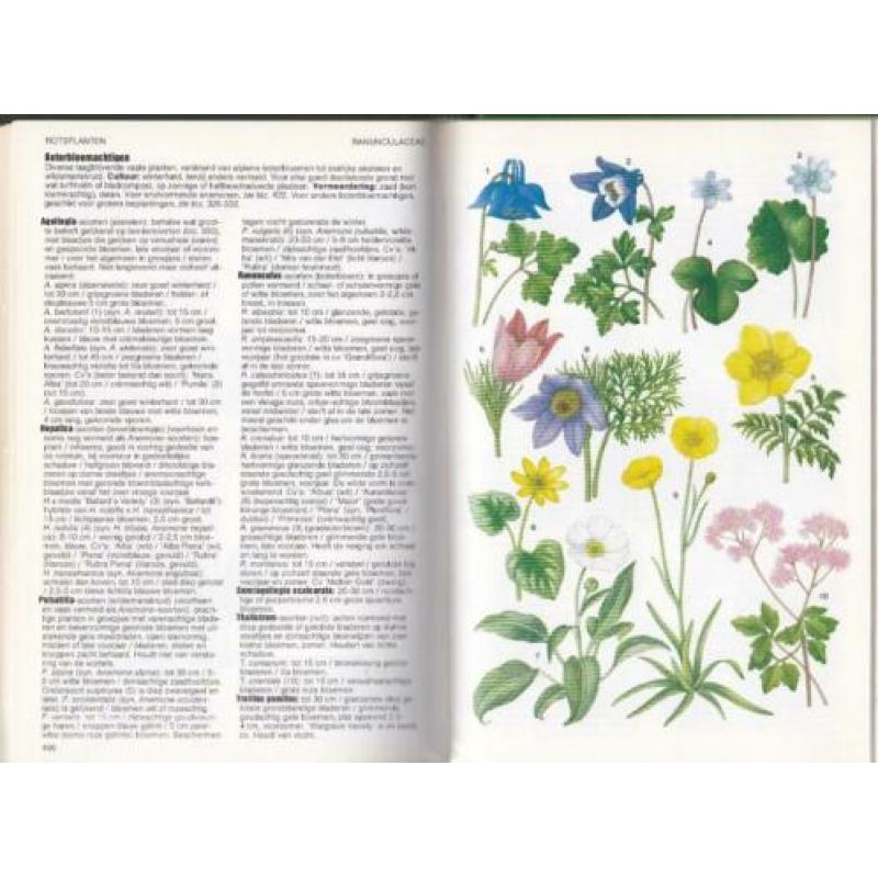 Het complete Lexicon Tuinplanten