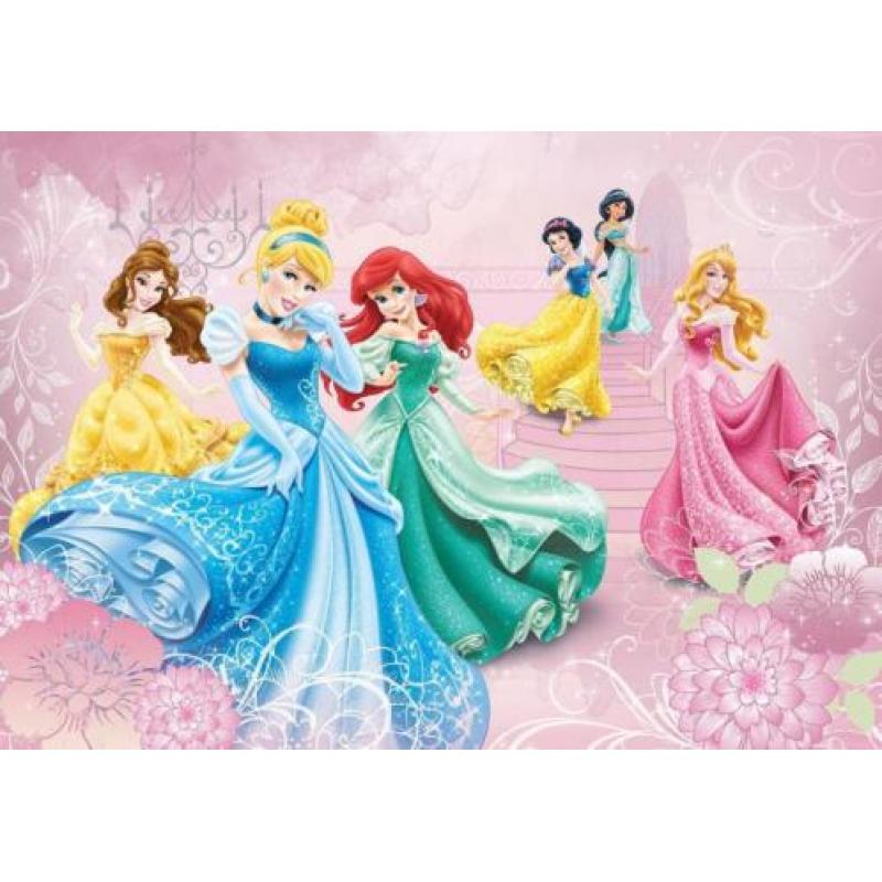 Disney Princess VLIES fotobehang Prinsessen * Muurdeco4kids